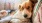 We're a pet-friendly community