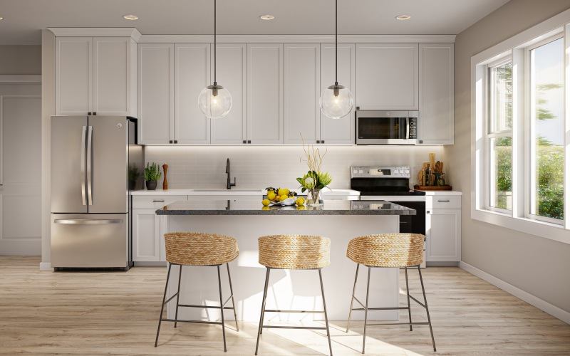 Unit kitchen rendering