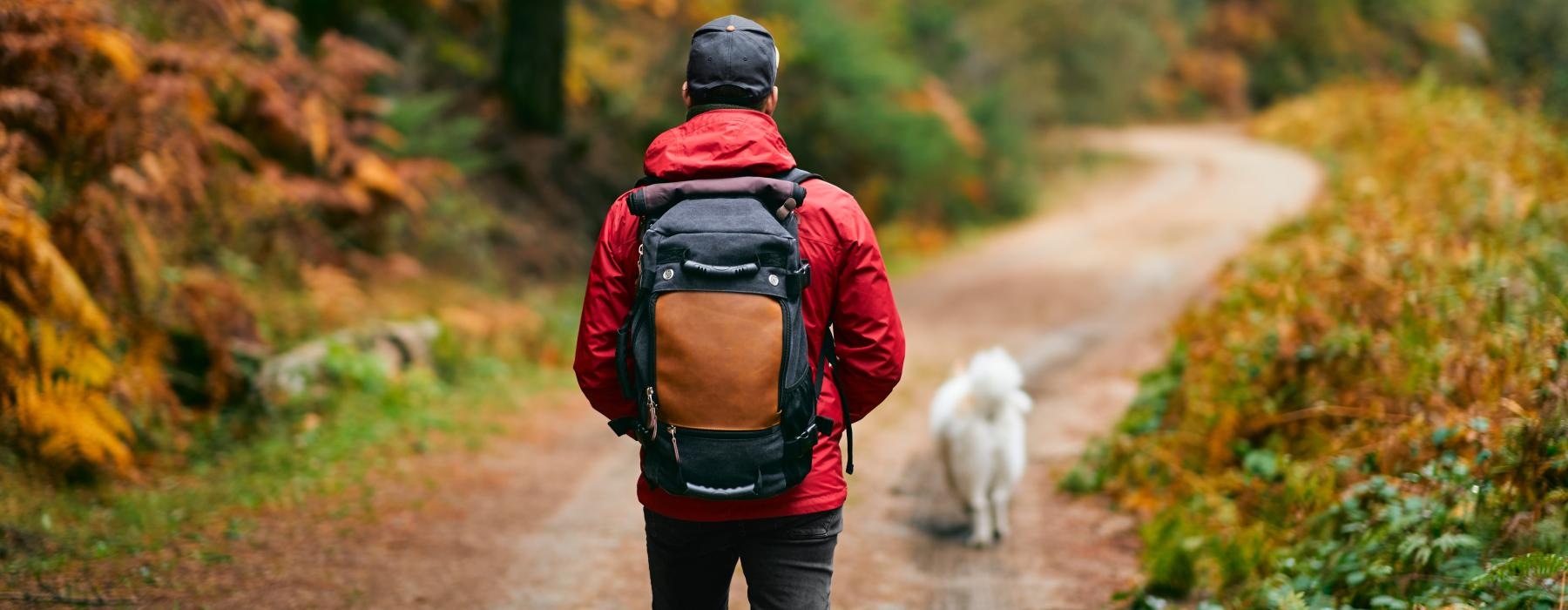 a person walking a dog on a dirt road