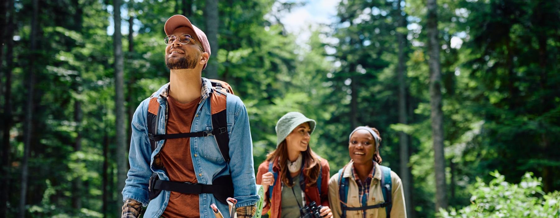 a group of people walking through the woods
